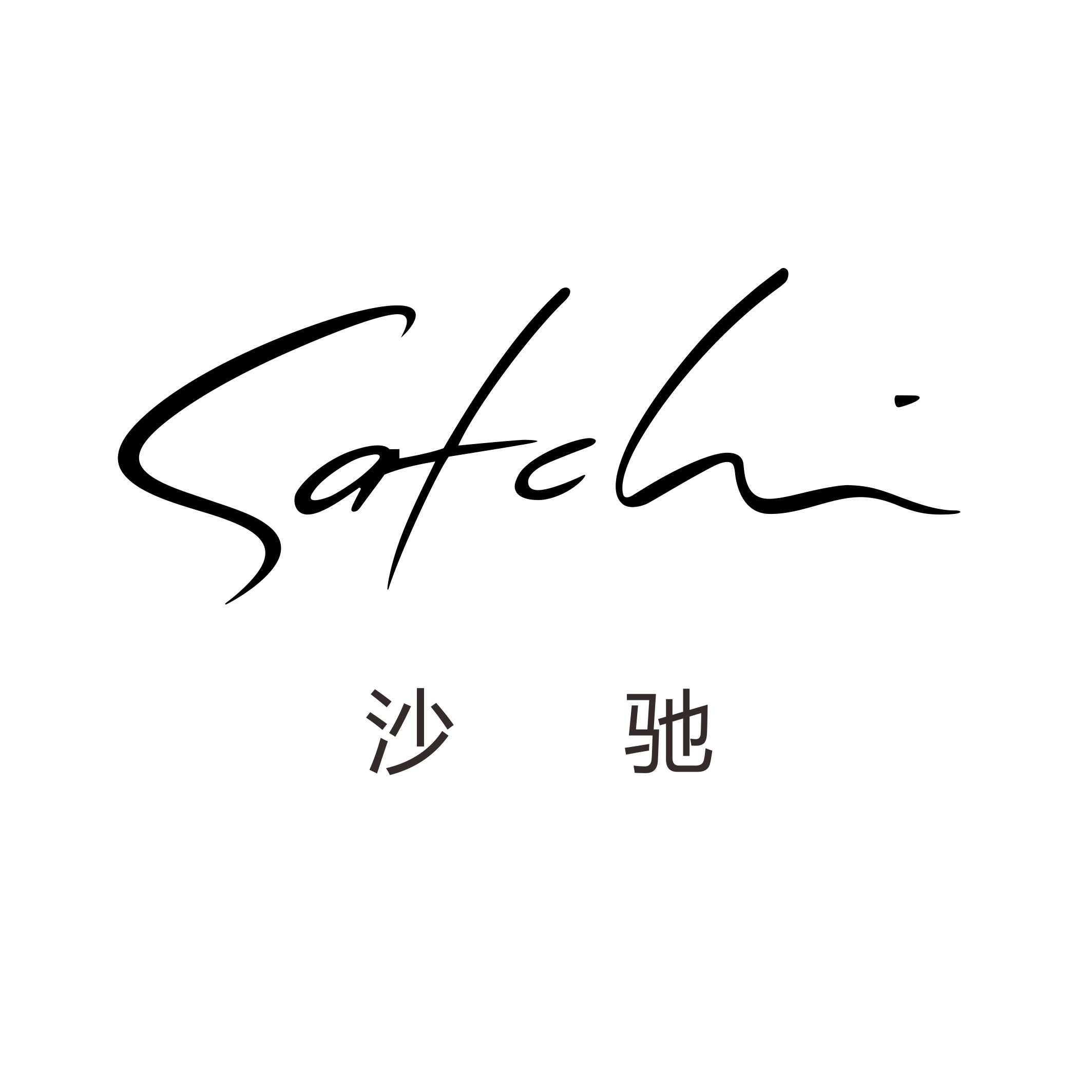 沙驰